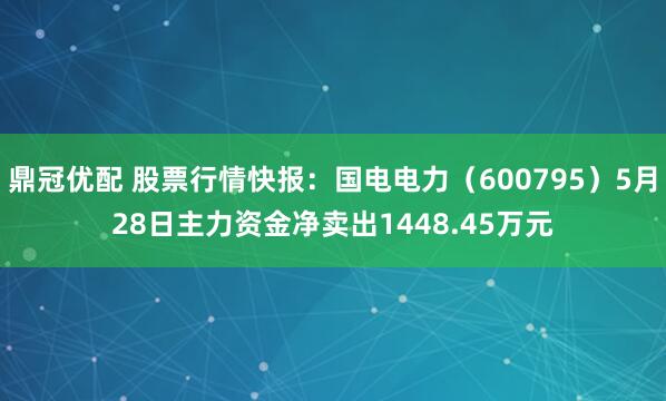 鼎冠优配 股票行情快报：国电电力（600795）5月28日主力资金净卖出1448.45万元