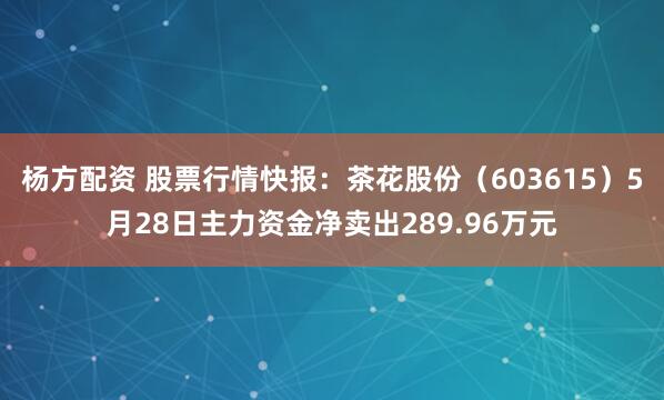 杨方配资 股票行情快报：茶花股份（603615）5月28日主力资金净卖出289.96万元