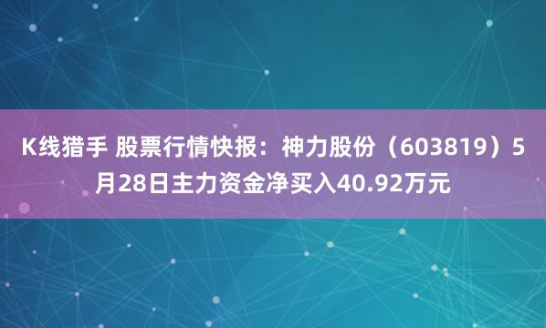 K线猎手 股票行情快报：神力股份（603819）5月28日主力资金净买入40.92万元