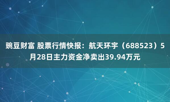 豌豆财富 股票行情快报：航天环宇（688523）5月28日主力资金净卖出39.94万元
