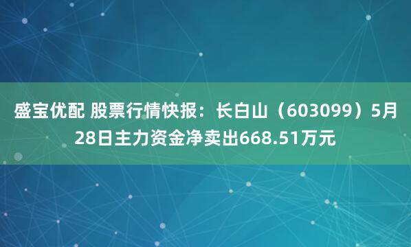 盛宝优配 股票行情快报：长白山（603099）5月28日主力资金净卖出668.51万元