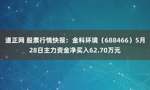 道正网 股票行情快报：金科环境（688466）5月28日主力资金净买入62.70万元