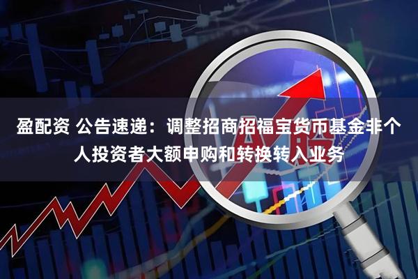 盈配资 公告速递：调整招商招福宝货币基金非个人投资者大额申购和转换转入业务