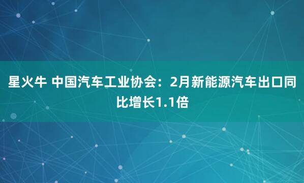星火牛 中国汽车工业协会：2月新能源汽车出口同比增长1.1倍