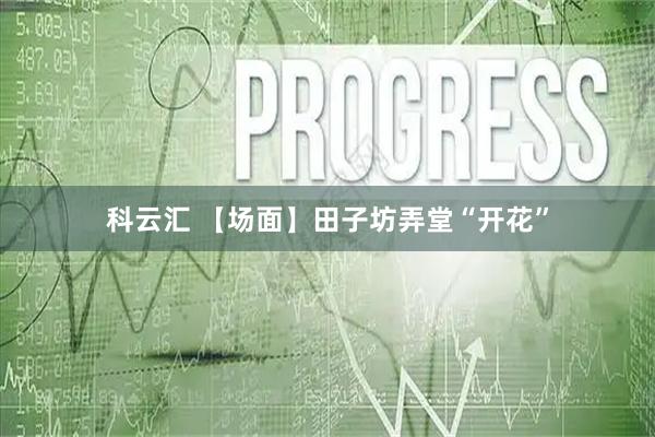 科云汇 【场面】田子坊弄堂“开花”
