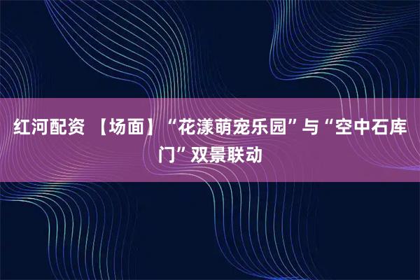 红河配资 【场面】“花漾萌宠乐园”与“空中石库门”双景联动